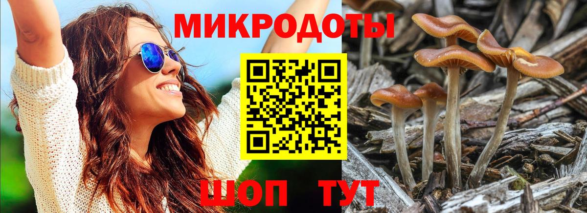 Ярославль  Галлюциногенные грибы прущие грибы  Вход с VPN 